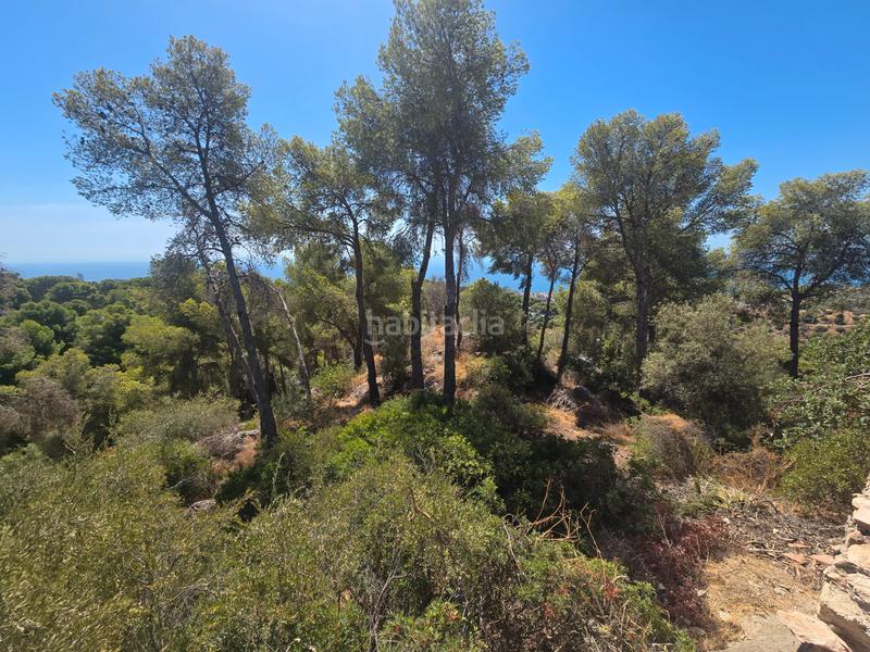 Foto d36fb355-9111-4cf3-b024-ac7bc70debf1. Terrain résidentiel dans calle palmeras 5 dans Pinares de San Antón Málaga