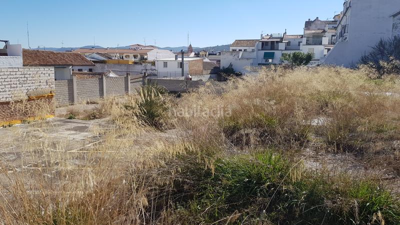 Foto 34f9ced3-cd49-4683-8609-59bc877ee440. Terrain résidentiel dans calle higueruelos 20 dans Centro Antequera
