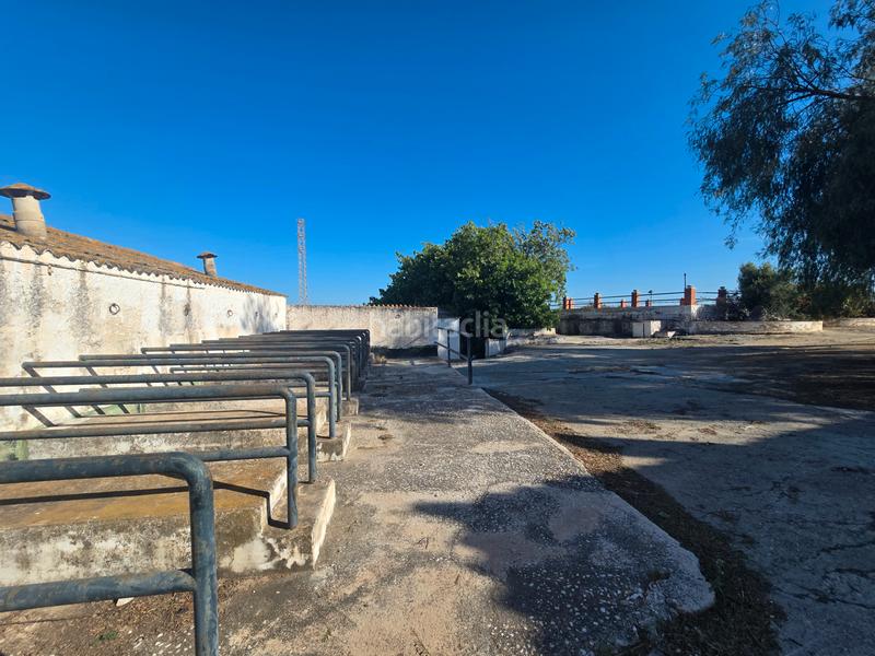 Foto f4171474-3977-4bad-8b8e-766af1c3648a. Terrain résidentiel dans calle dora ana carmona martin 33 dans Almayate Bajo
