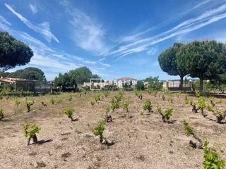 Terreny residencial a Pepino. Gran terreno con muchas posibilidades!!!