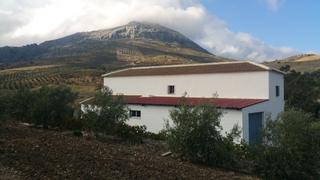Masia  Diseminado poligono 72