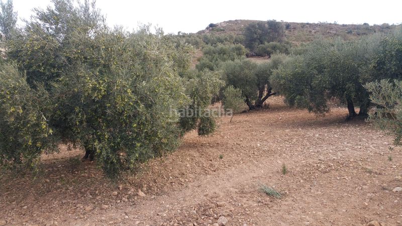 Foto be20a4af-70d4-421f-bb06-a86ace3c1edb. Casale in diseminado poligono 72 308 in Bobadilla - Bobadilla Estación - La Joya Antequera