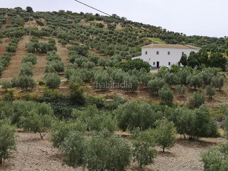 Foto cd32b344-4177-42c1-98f7-d49ccc5f1ca9. Bauernhof mit parking in Bobadilla - Bobadilla Estación - La Joya Antequera