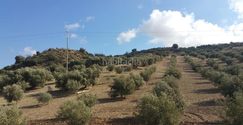 Foto 8d83a338-82dc-4d57-a83f-522cd8d94989. Casale con parcheggio in Bobadilla - Bobadilla Estación - La Joya Antequera