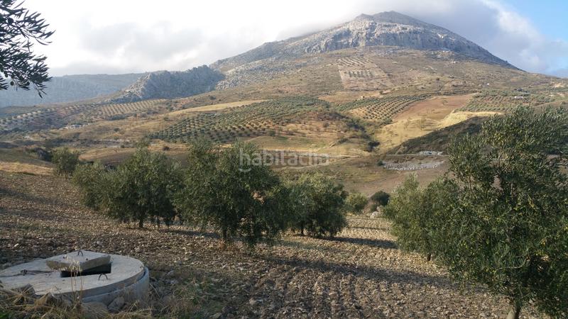 Foto b1085076-add2-4d3b-b7af-a795048a70b9. Masía en Bobadilla - Bobadilla Estación - La Joya Antequera