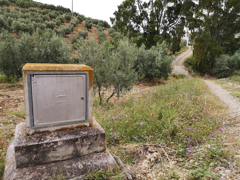 Foto 688768dd-e92e-44f9-ab0b-e5f809ed04db. Bauernhof in n/a in Bobadilla - Bobadilla Estación - La Joya Antequera