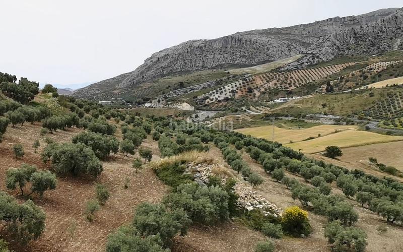 Foto 741c0c97-6432-4e71-a596-aacd83ead407. Country house in n/a in Bobadilla - Bobadilla Estación - La Joya Antequera