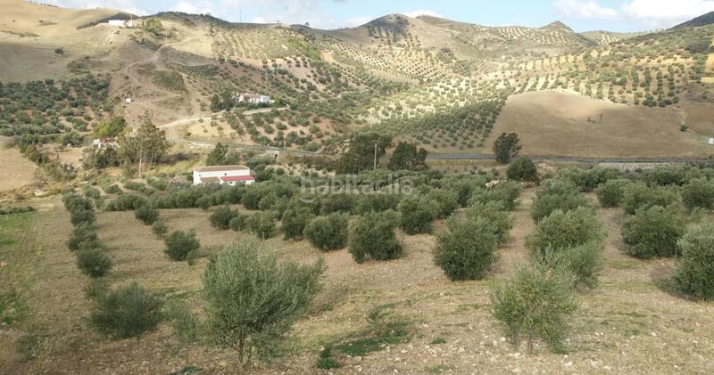 Foto b20cda9b-252a-45c5-bc07-e533f786440a. Country house in n/a in Bobadilla - Bobadilla Estación - La Joya Antequera