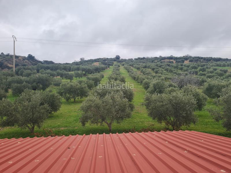 Foto f4247676-53ea-456e-9eea-eb8b77c29fae. Country house in n/a in Bobadilla - Bobadilla Estación - La Joya Antequera