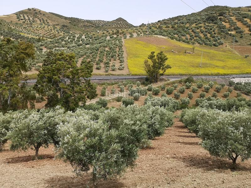 Foto fc5022a4-72da-48eb-b85c-5036c50366f7. Country house in n/a in Bobadilla - Bobadilla Estación - La Joya Antequera