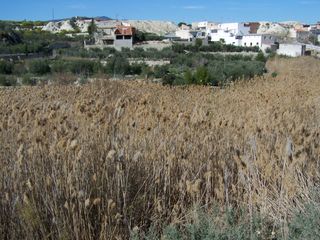 Finca r�stica en Albudeite. Finca r�stica con una superficie total de 368 m2, en el pol�gono