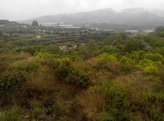 Finca r�stica en Llocnou de Sant Jeroni