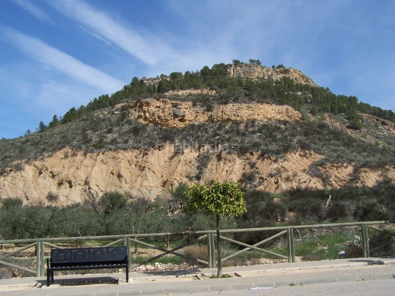 Foto a6d3bacb-c727-43a9-b68d-61e031a400fe. Finca rústica a Pliego