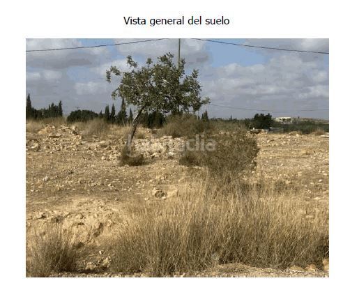 Foto c0c950ad-52bc-4765-acd7-4e460396a264. Terreny residencial a Jerónimo y Avileses Murcia