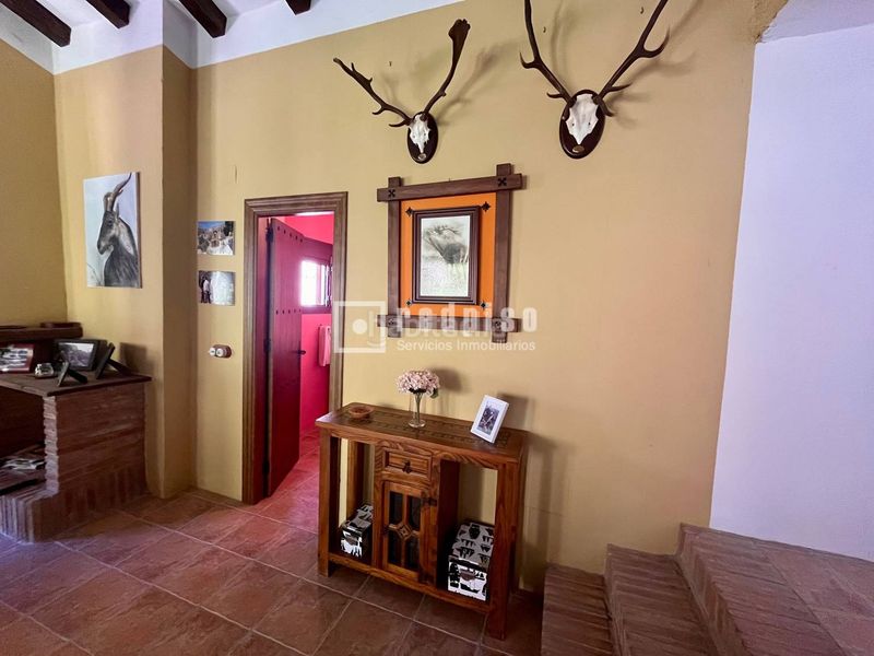 Foto 7d757245-8038-4aee-95ec-311707b5658e. Haus in alegría de la huerta- jardín de Málaga Málaga