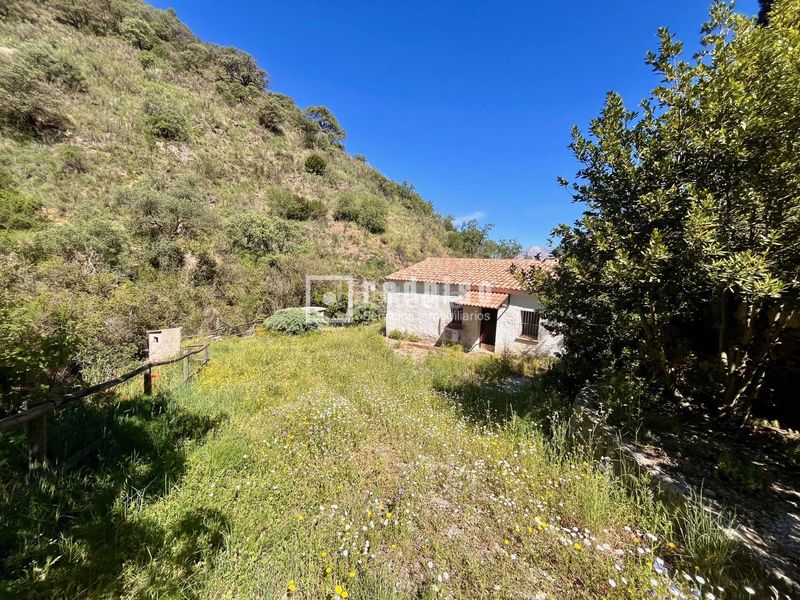 Foto a1089092-09ba-464c-8695-ffc5a304d37a. Haus in alegría de la huerta- jardín de Málaga Málaga