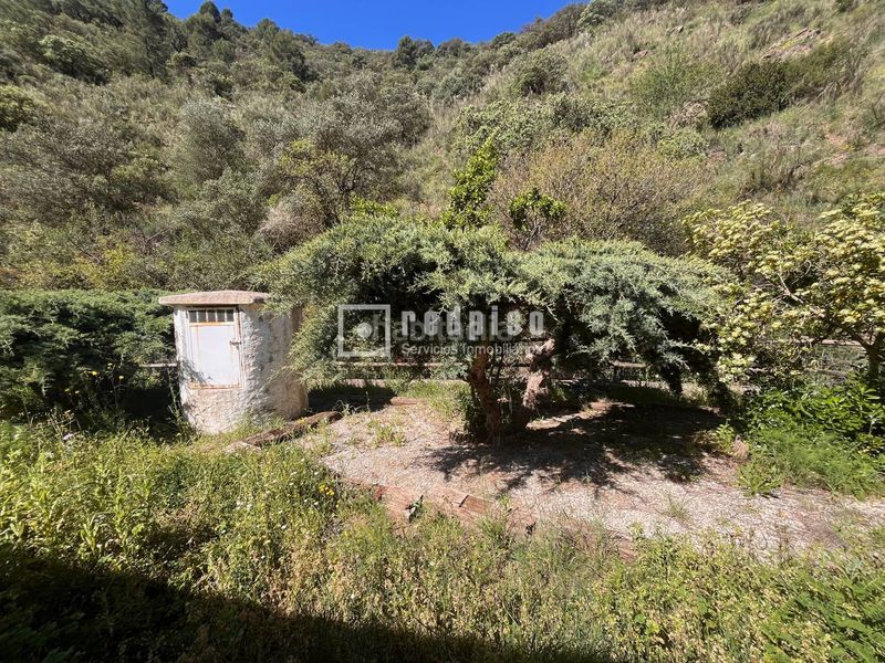 Foto c3ad7700-8a43-402e-a852-a25a14b0de14. Haus in alegría de la huerta- jardín de Málaga Málaga