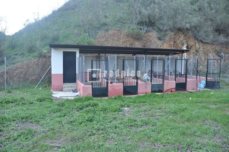 Foto d84e0992-e1a2-4cee-a839-84fae0daec38. Haus in alegría de la huerta- jardín de Málaga Málaga