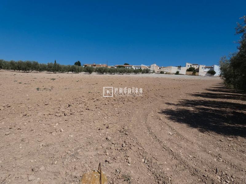 Foto 25e6b96e-ed18-45b3-a825-d6c19e17f6f3. Terrain industriel dans Centro Antequera