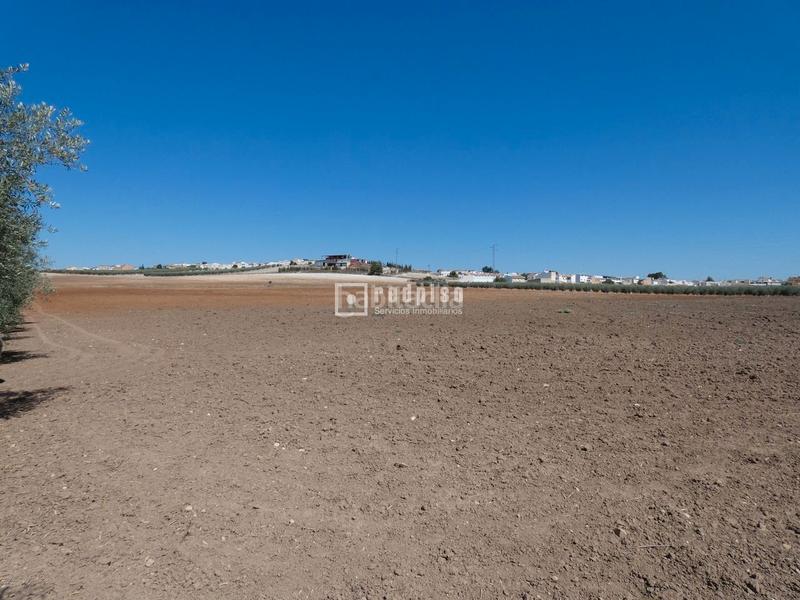 Foto 875780ef-ed6f-4358-adac-344020c395b6. Terrain industriel dans Centro Antequera