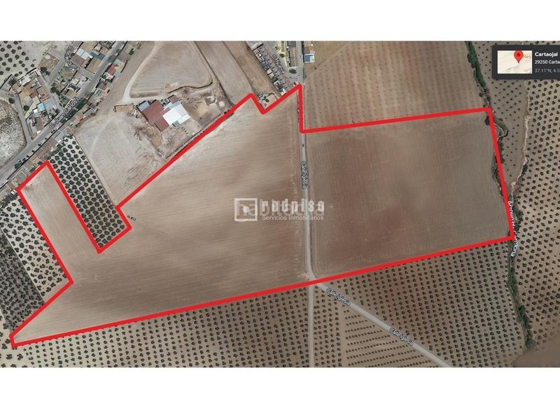 Foto d6edf8fa-0722-487b-b158-98abceff503f. Terrain industriel dans Centro Antequera