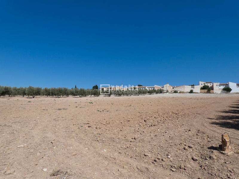 Foto e16e75e9-981d-4673-a7b1-a795cebcdb23. Terrain industriel dans Centro Antequera