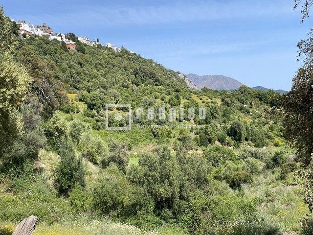 Foto 0a689232-a57d-469b-af11-755dfac834ea. Terreny residencial a pasadilla 1 a Gaucín