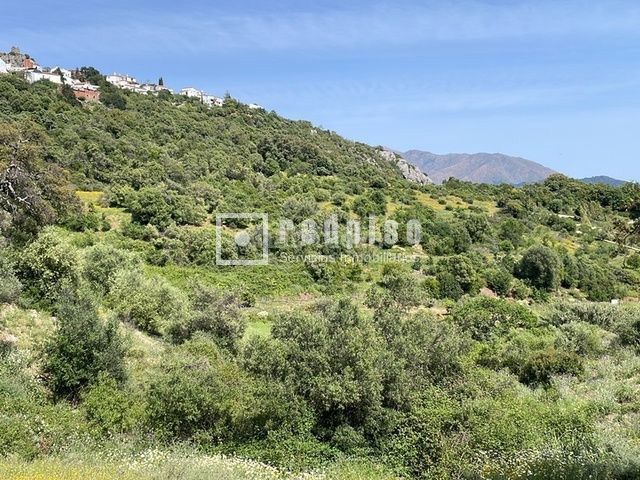 Foto 0f965d04-e3d5-4707-9b7c-00ca3c76940b. Terreny residencial a pasadilla 1 a Gaucín