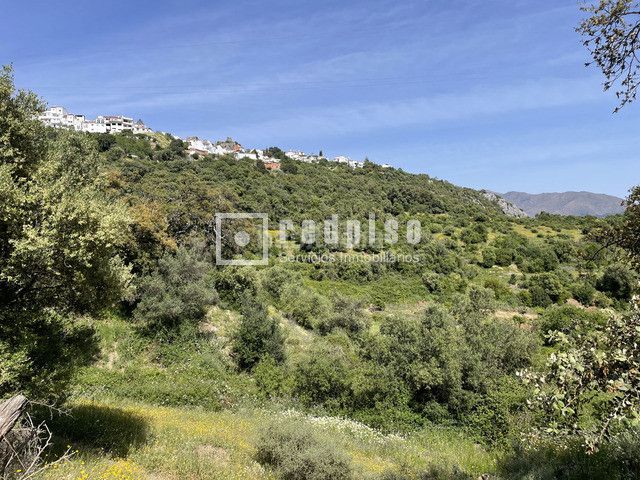 Foto 1aa62143-912e-470f-bfee-19ff54b4dde4. Terreny residencial a pasadilla 1 a Gaucín