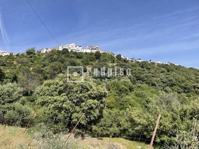 Foto 49cb00da-24aa-4e75-b411-f316d70ee29a. Terreny residencial a pasadilla 1 a Gaucín