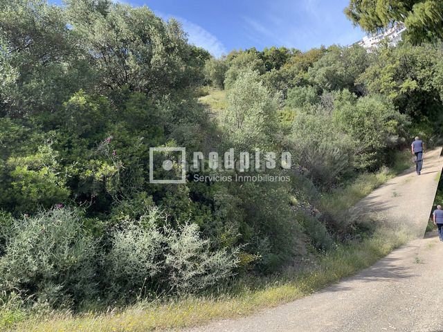 Foto a9375856-c5aa-4c86-8ec2-edf52ee50c0a. Terreny residencial a pasadilla 1 a Gaucín