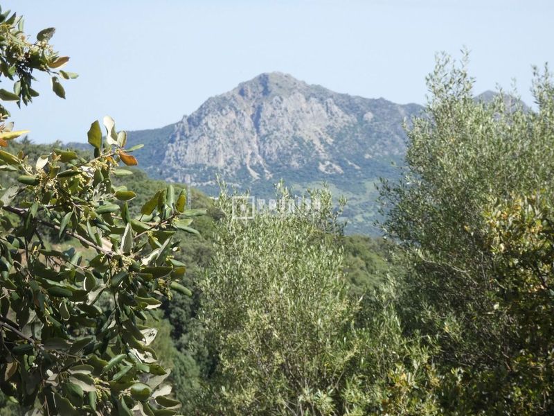 Foto aff4d619-2026-4990-9205-1c5176169312. Terreny residencial a pasadilla 1 a Gaucín
