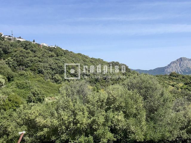 Foto da74a0df-a943-4020-8b5a-6abe430b974f. Terreny residencial a pasadilla 1 a Gaucín
