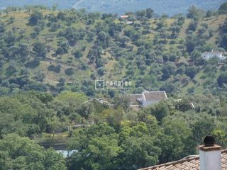 Terreno residencial en Pasadilla 1. Finca de 11 hectáreas en gaucín