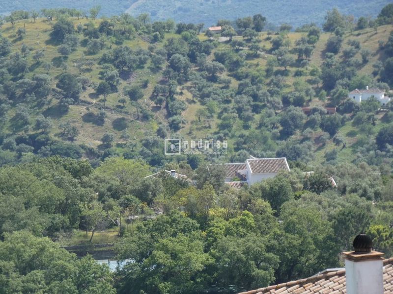 Foto dfdb62fe-d7f5-4f8e-baac-be18b2ec4fc9. Terreny residencial a pasadilla 1 a Gaucín
