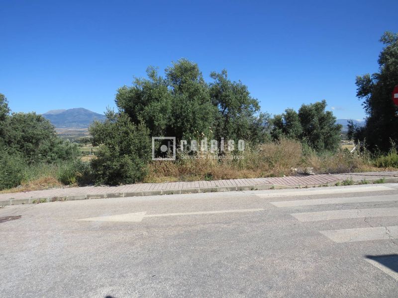 Foto 706dd6db-58cb-424a-bce9-644d9505cc36. Terreny residencial a Coín
