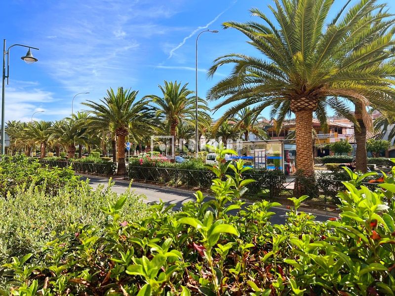 Foto 078ed89f-b365-43ba-82c7-9eeb5916b8db. Pis a Mangas Verdes - Las Flores - Parque del Sur Málaga