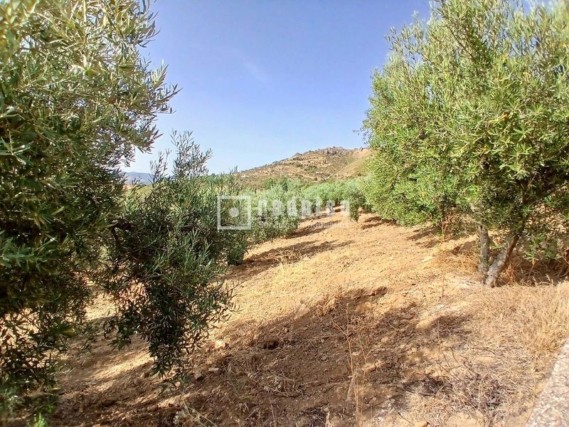 Foto 4b791e2f-9140-462c-8129-60d2234d629f. Casa amb calefacció a Colmenar
