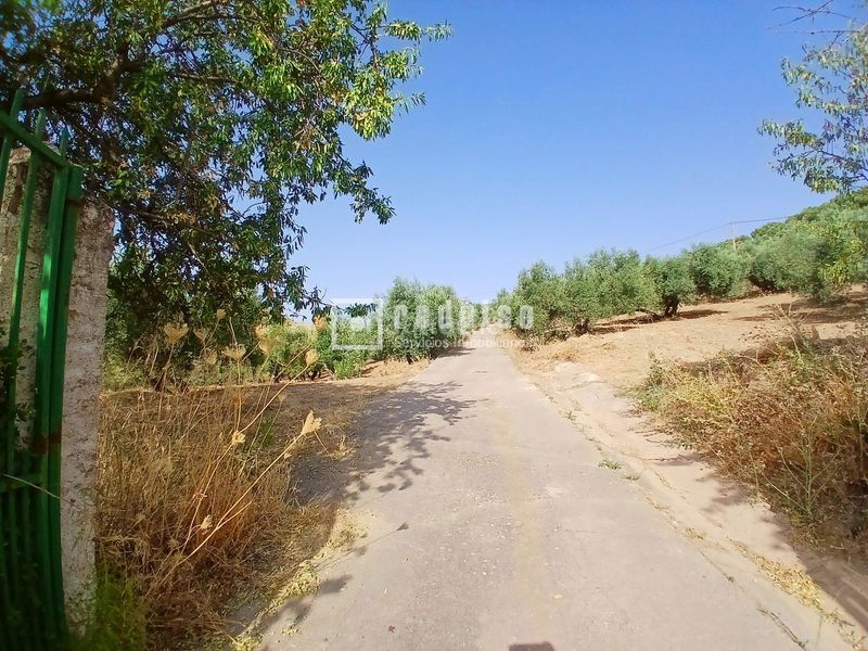 Foto e1f79374-63de-492a-b7b4-f4d8a02a2b8f. Casa amb calefacció a Colmenar
