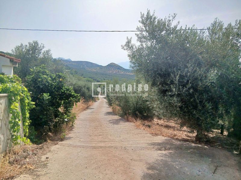 Foto e59cbca8-3e79-47cf-8a80-83d6c5cb0341. Casa amb calefacció a Colmenar