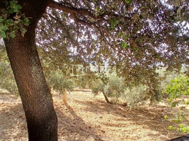 Foto fdc5b865-e32b-4e8b-990f-b626446b04e7. Casa amb calefacció a Colmenar