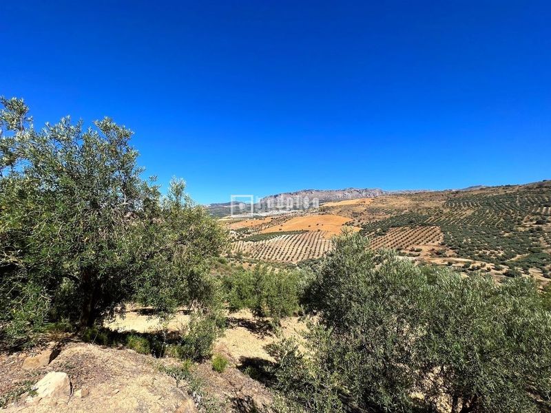 Foto 87d8531c-b190-4a57-aa82-e6ca0da4e0b9. Terreny residencial a Almogía