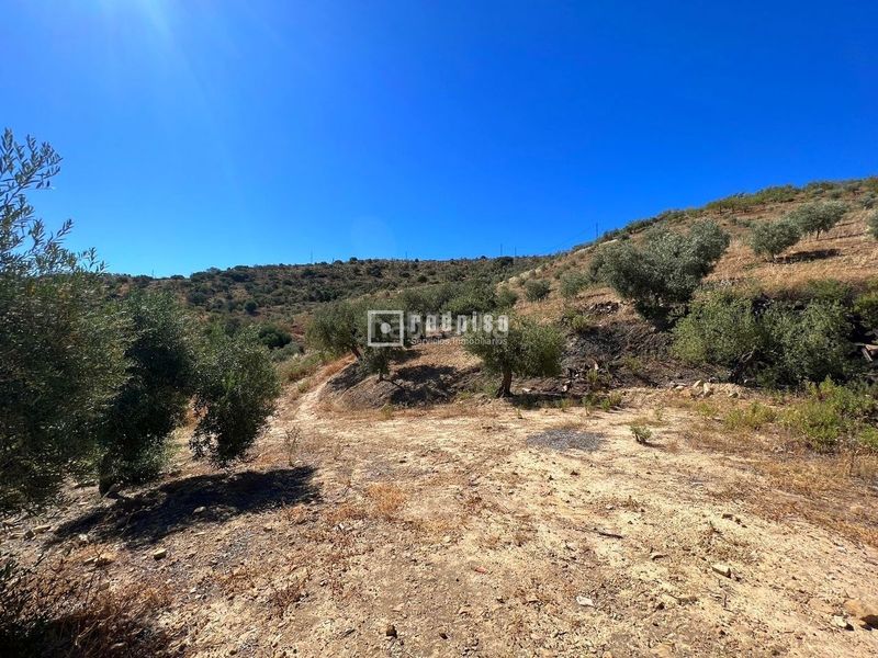 Foto d1c4bfab-8fd8-431e-80ce-bbd0f7402b00. Terreny residencial a Almogía