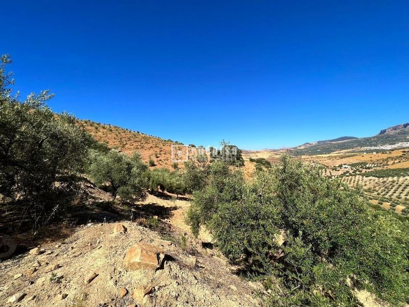 Foto e4e923c0-30de-4153-ba37-ec286b62f175. Terreny residencial a Almogía