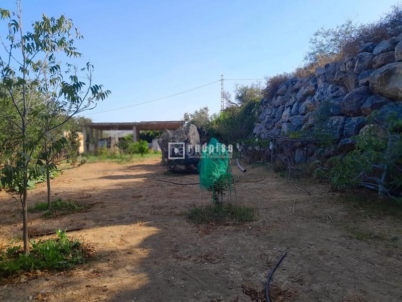 Foto 1561b4a1-2a49-427a-a341-0e8684a896b5. Wohngrundstück in Campanillas Málaga