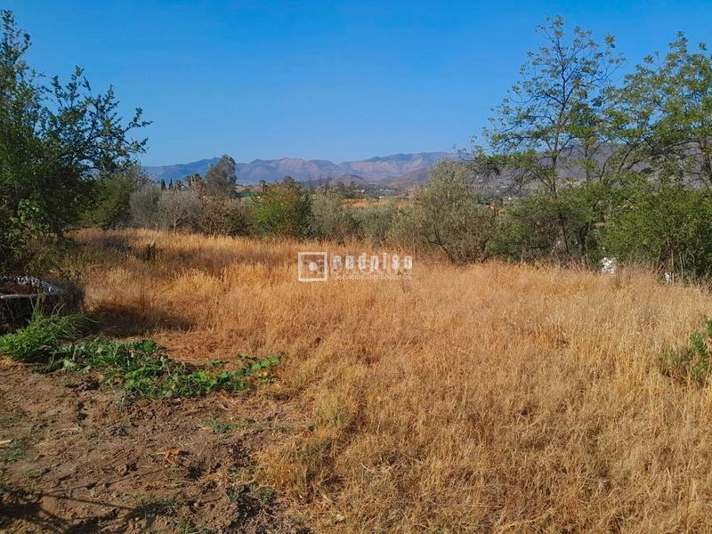 Foto 744a63cb-30f1-4b13-9d52-50438ad336ef. Wohngrundstück in Campanillas Málaga