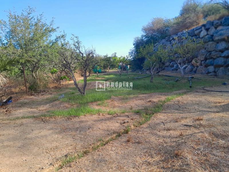 Foto 77c6e260-72ea-461d-9153-5d70ec48d009. Wohngrundstück in Campanillas Málaga