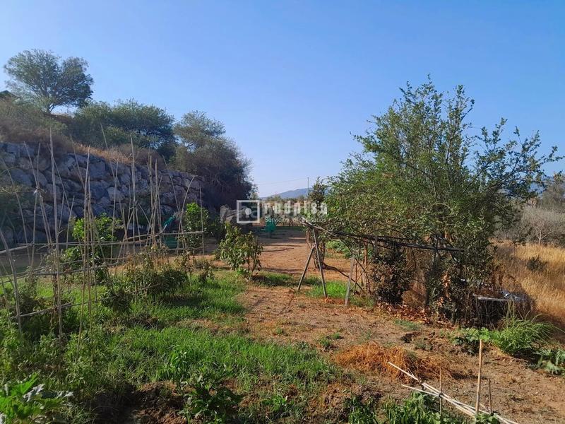 Foto 9ee3ecef-8532-4161-acbe-1318db8d7026. Wohngrundstück in Campanillas Málaga