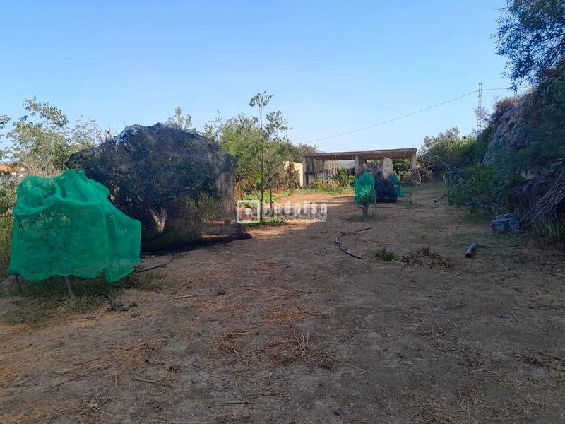 Foto edbb0a7f-2b1b-4fed-adcf-9d4ef891627e. Wohngrundstück in Campanillas Málaga