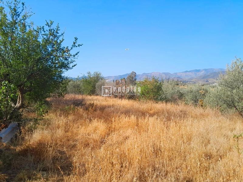 Foto 0d1d8e27-07c4-411f-85a9-9ddfbcd57d45. Terreno residenziale in Campanillas Málaga